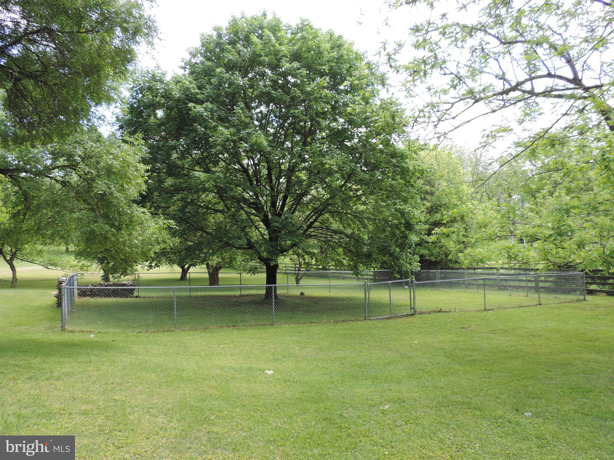435 Priestford Road Churchville, MD 21028 - Photo 10 of 54 Fenced area perfect for a play area & fur babies