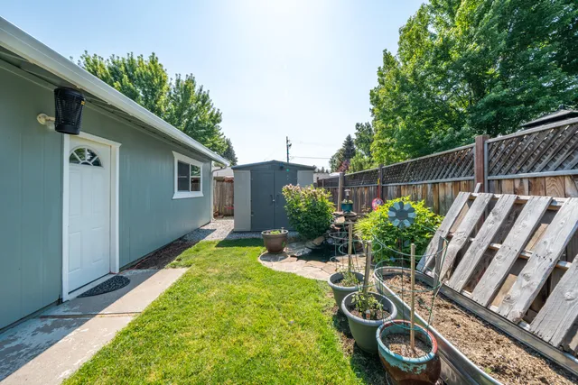 a view of a backyard with plants
