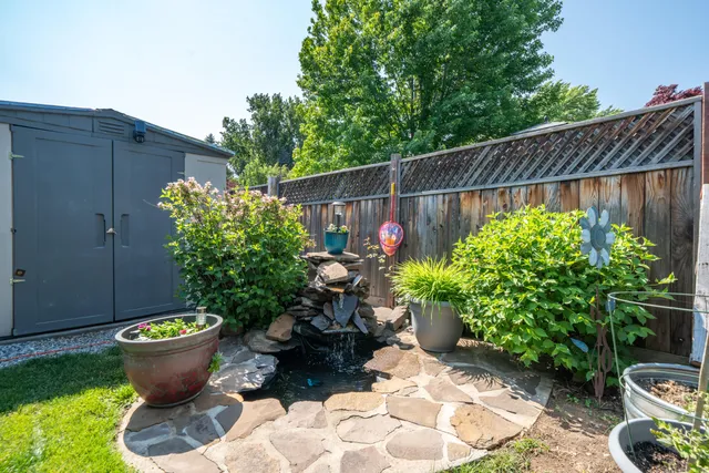 a view of a backyard with plants and plants