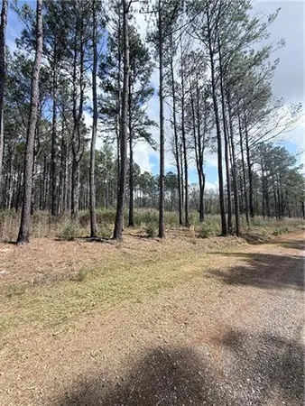 $75,000 | M-3 Hidden Hills Drive, Franklinton, LA 70438