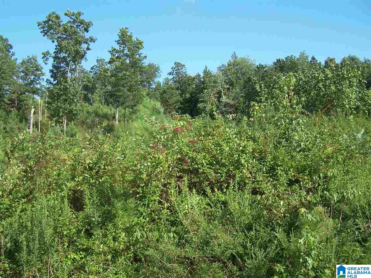 0 Jackson Trail, Unit 140 ACRES Altoona, AL 35952 - Photo 36 of 50