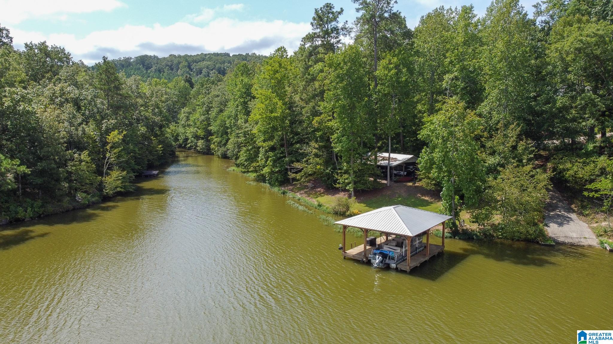 0 Colvin Springs Road Ashville, AL 35953 - Photo 21 of 31 Gallery Image 21