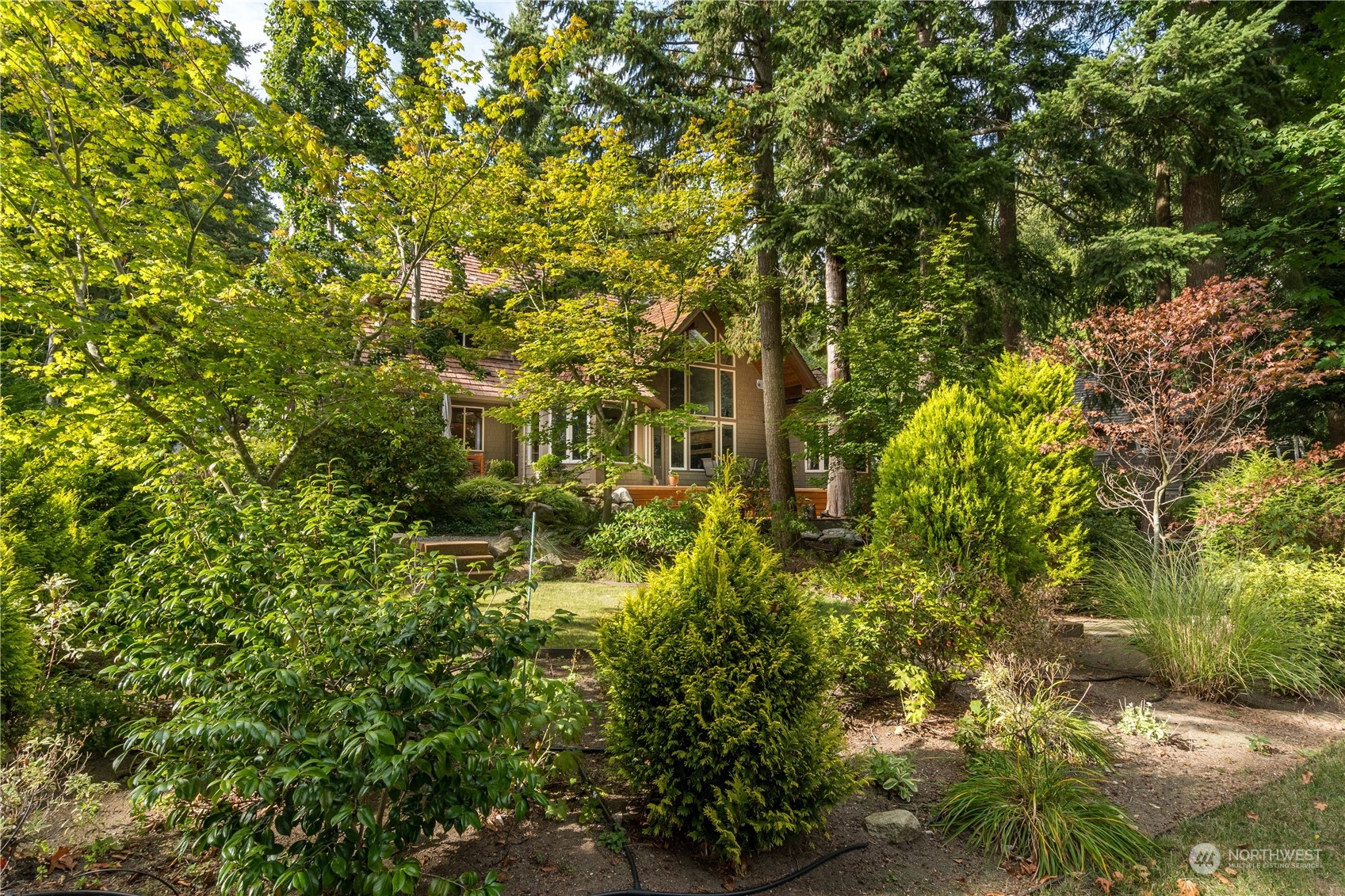 5447 Canvasback Road Blaine, WA 98230 - Photo 33 of 40 a view of a large yard with plants and large trees