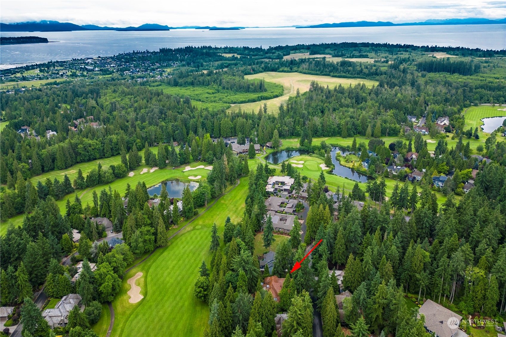 5447 Canvasback Road Blaine, WA 98230 - Photo 40 of 40 a view of a lush green forest with lots of trees