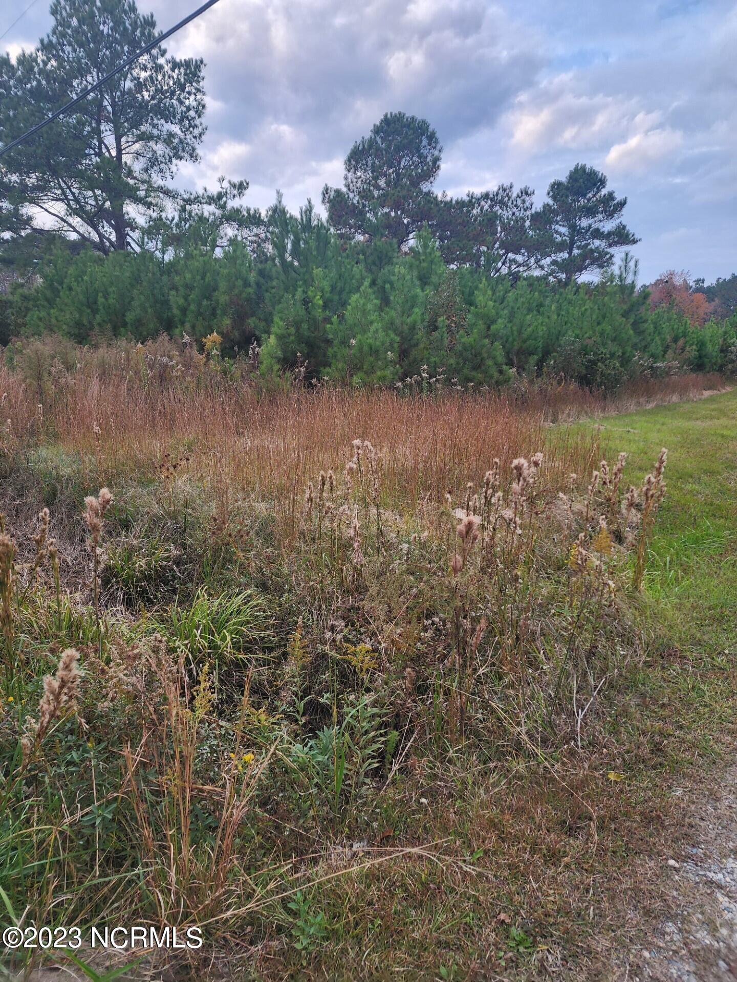 Lot On Porters Lane Road Rocky Point, NC 28457 - Photo 3 of 3 Gallery Image 3
