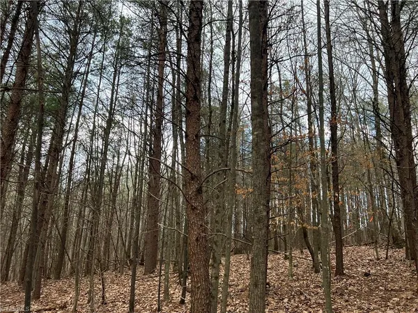 $19,900 | Lot 14 Fisher Valley Road, Dobson, NC 27017