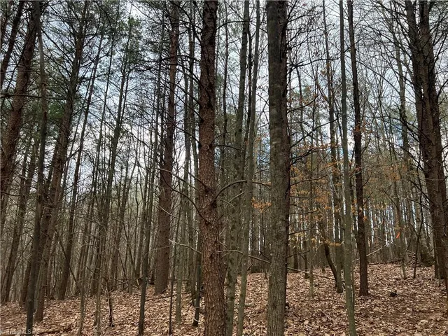 $19,900 | Lot 14 Fisher Valley Road, Dobson, NC 27017