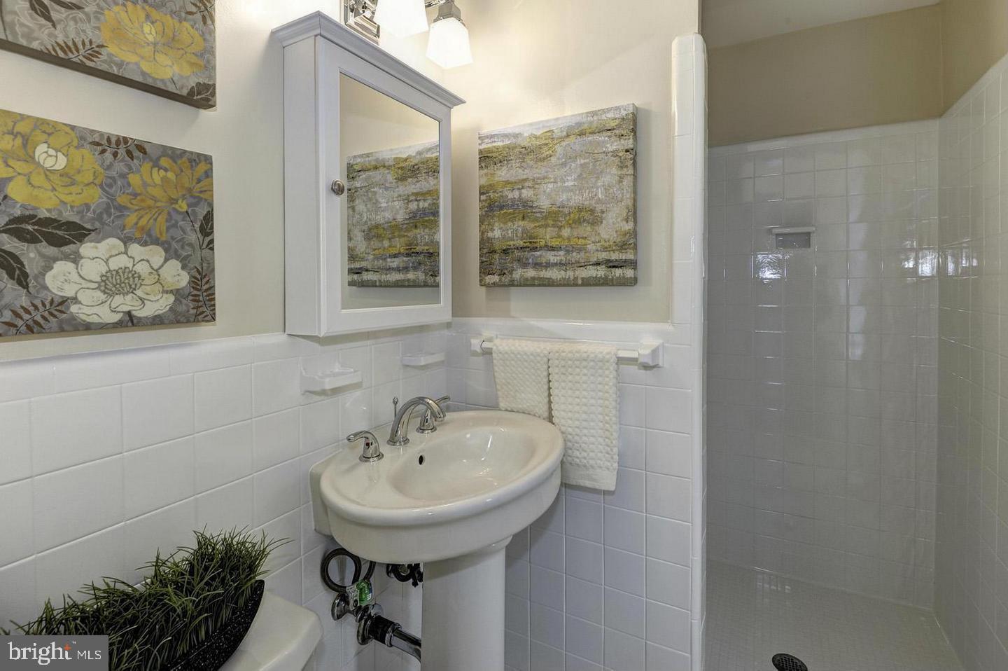 9404 Flower Avenue Silver Spring, MD 20901 - Photo 15 of 45 Owners Bath- Previously Staged