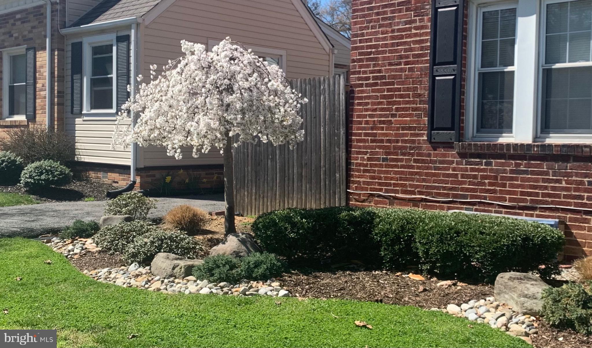 9404 Flower Avenue Silver Spring, MD 20901 - Photo 27 of 45