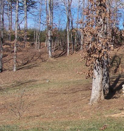 Lot 8 Buccaneer Road Moneta, VA 24121 - Photo 5 of 6 Nicely wooded