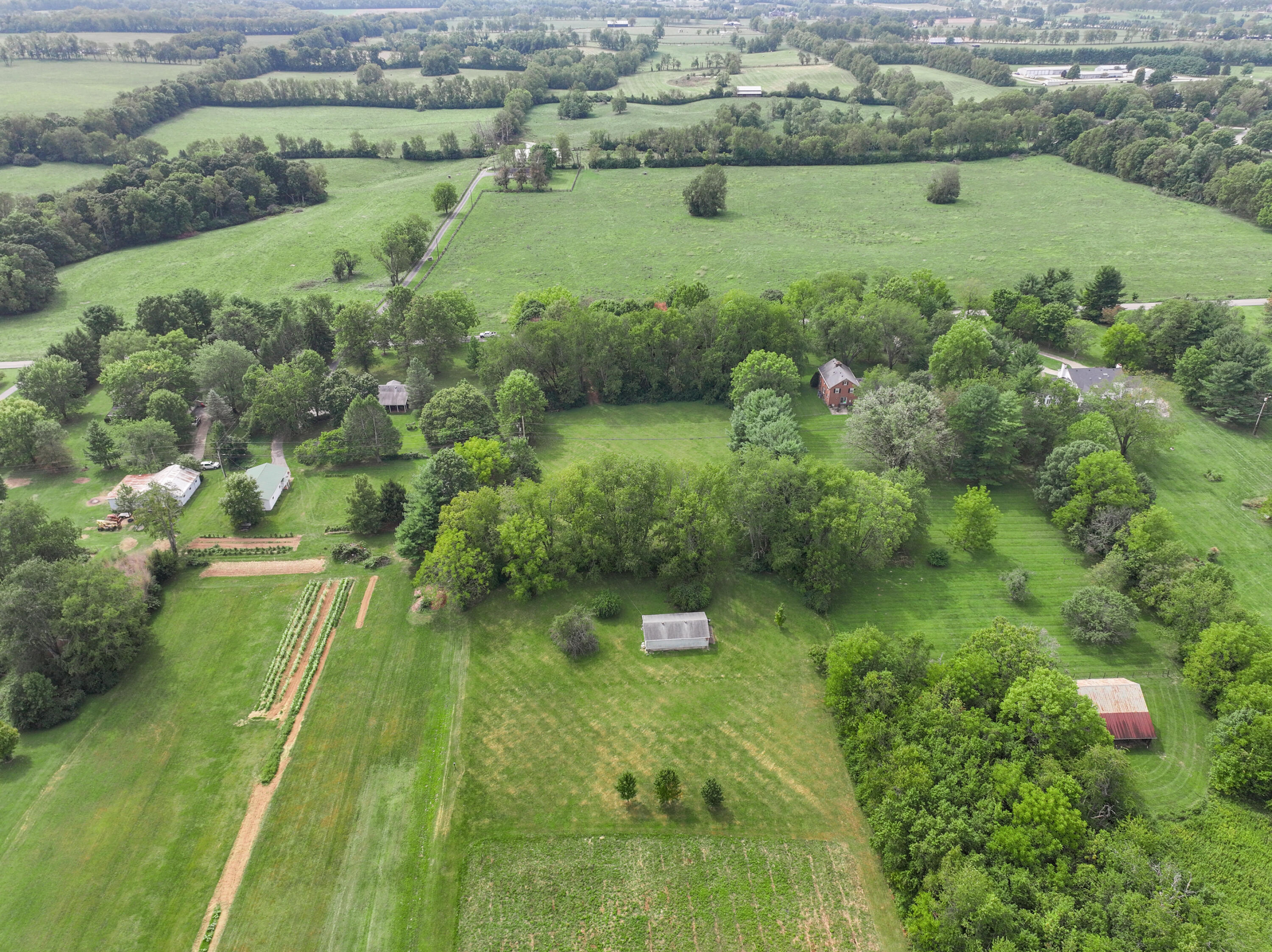 391 Brannon Road Nicholasville, KY 40356 - Photo 8 of 18 DJI_20240506183332_0092_D