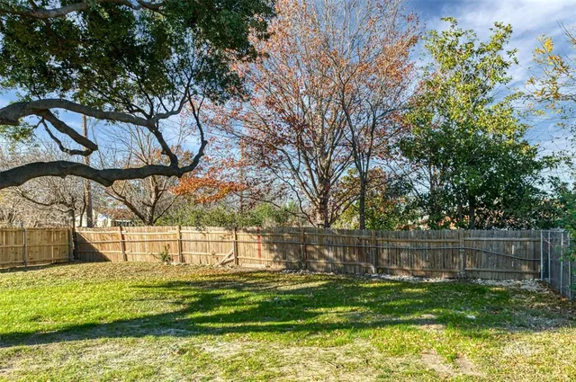 a view of a park with large trees