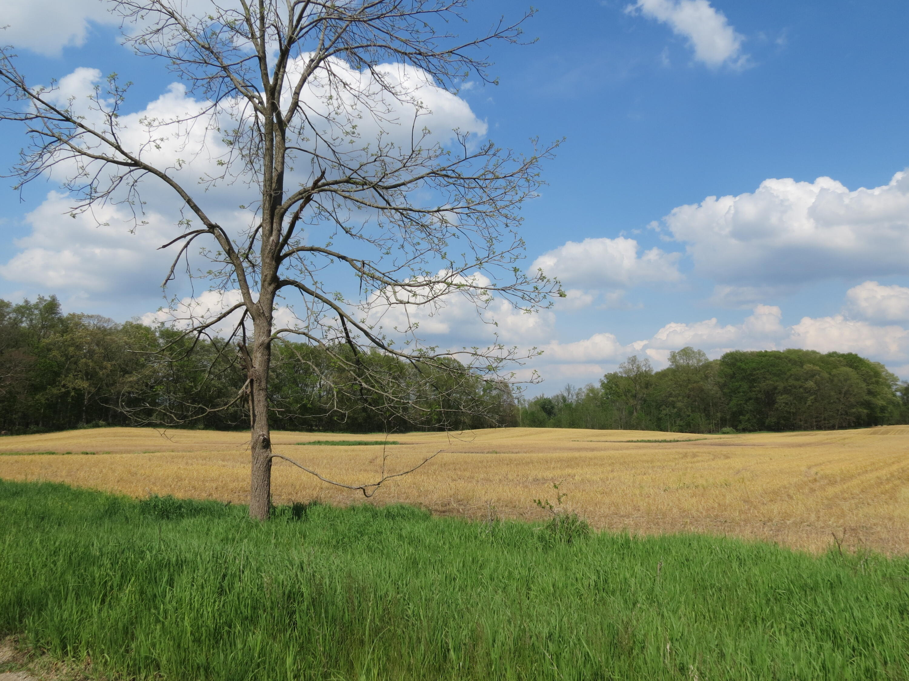 South Stony Lake Road, Unit A Jackson, MI 49201 - Photo 21 of 39 IMG_4241 - Copy