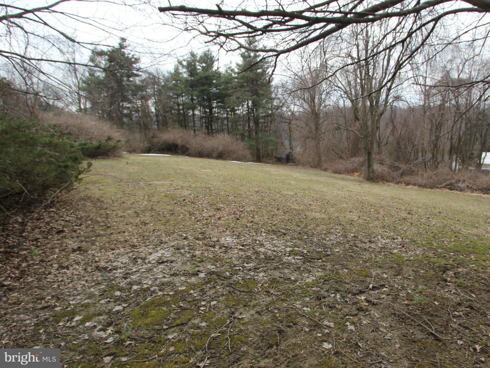 5047 Shookstown Road Frederick, MD 21702 - Photo 23 of 30 a view of a yard with a tree