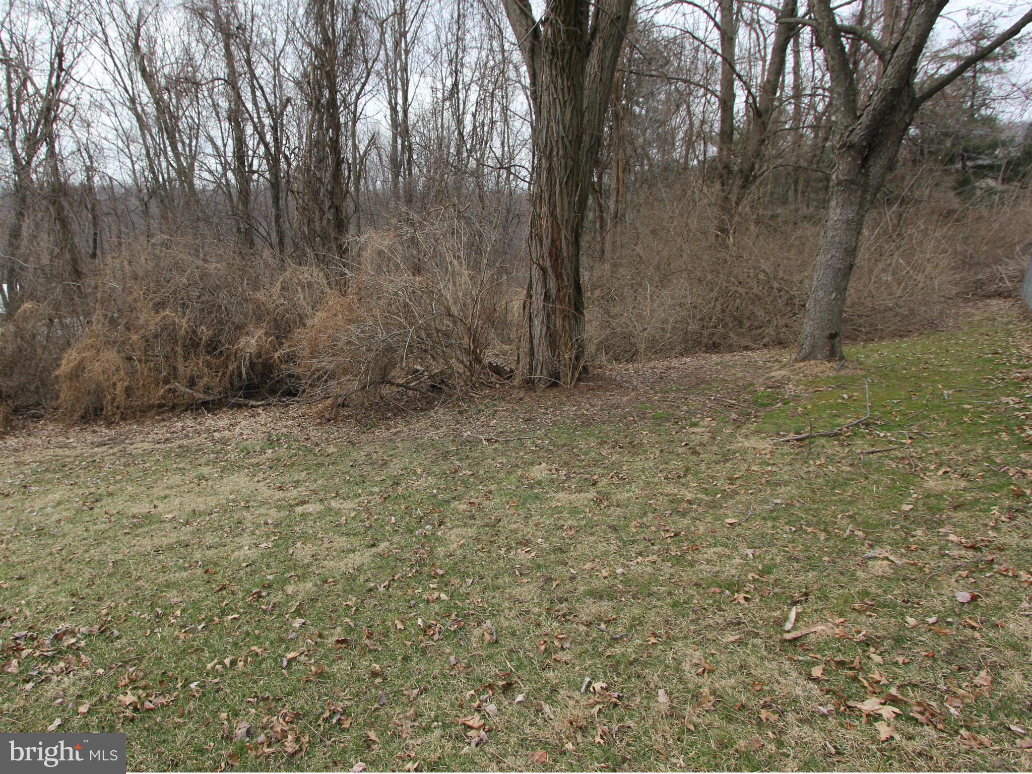5047 Shookstown Road Frederick, MD 21702 - Photo 24 of 30 a view of an outdoor space