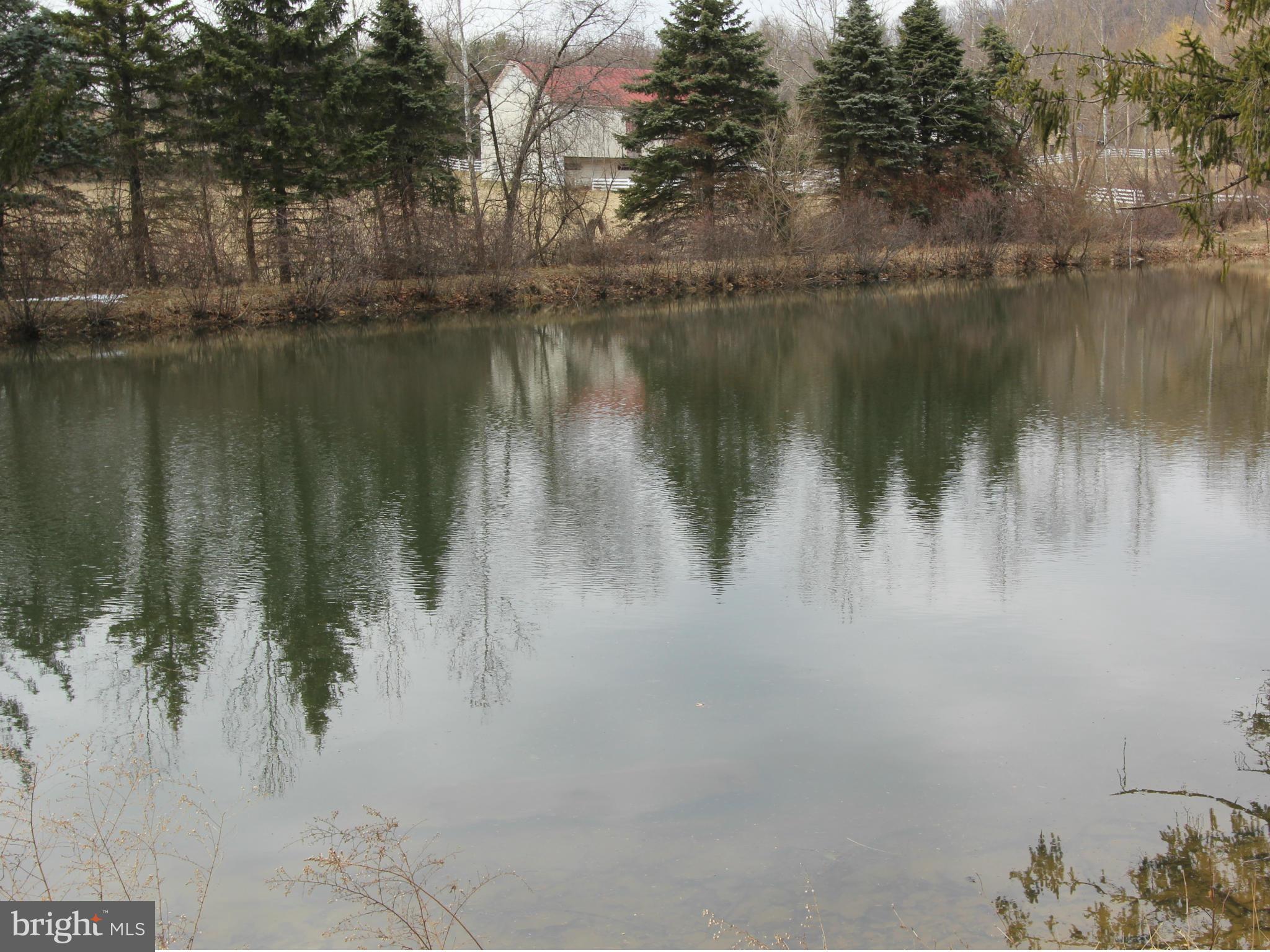 5047 Shookstown Road Frederick, MD 21702 - Photo 27 of 30 a body of water with a tree in the background