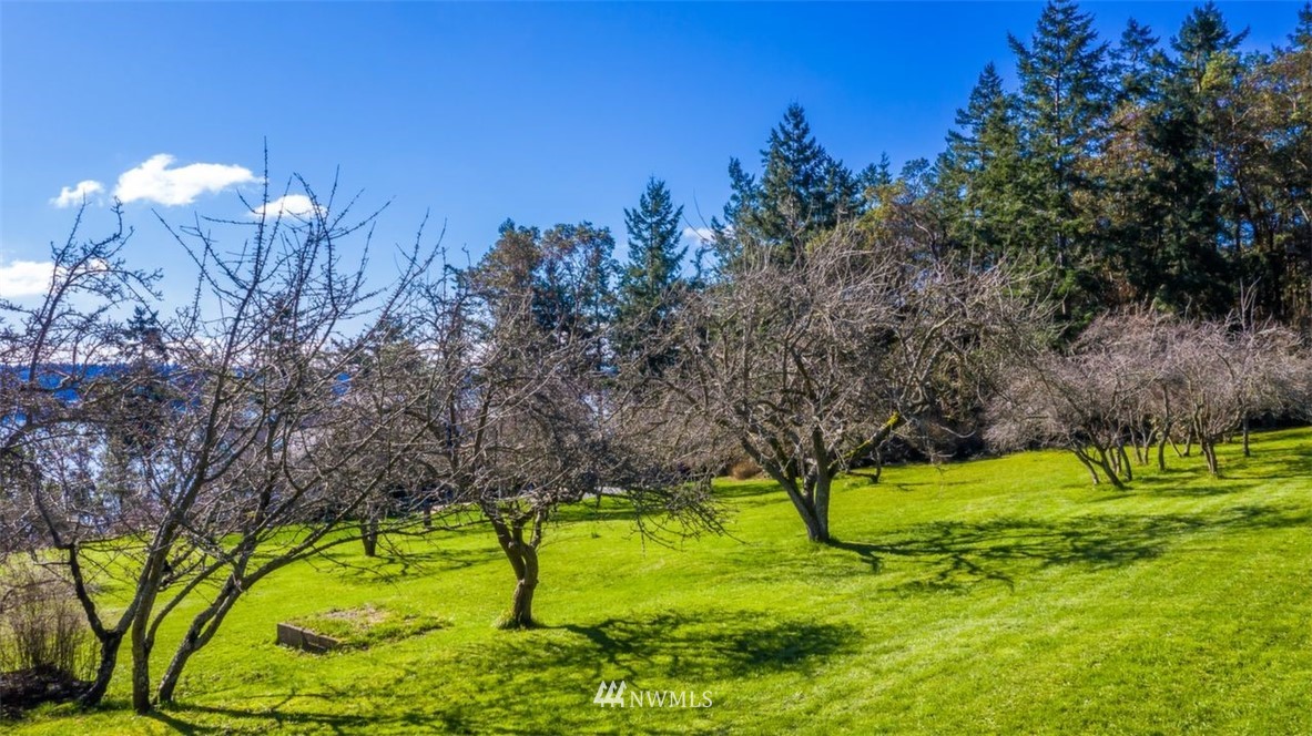 935 View Ridge Drive Oak Harbor, WA 98277 - Photo 17 of 25 Gallery Image 17