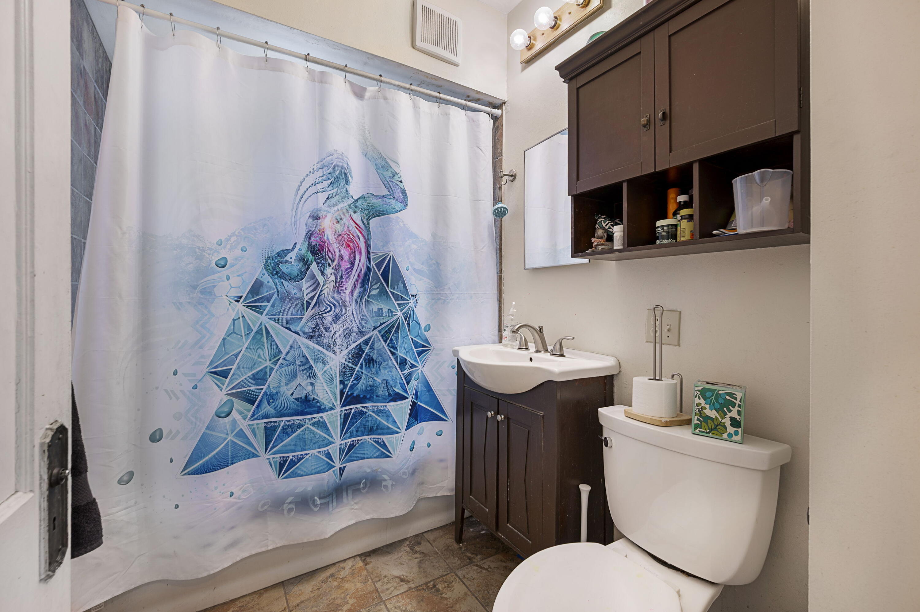 2015 North 58th Street, Unit 2017 Milwaukee, WI 53208 - Photo 7 of 21 Lower bathroom