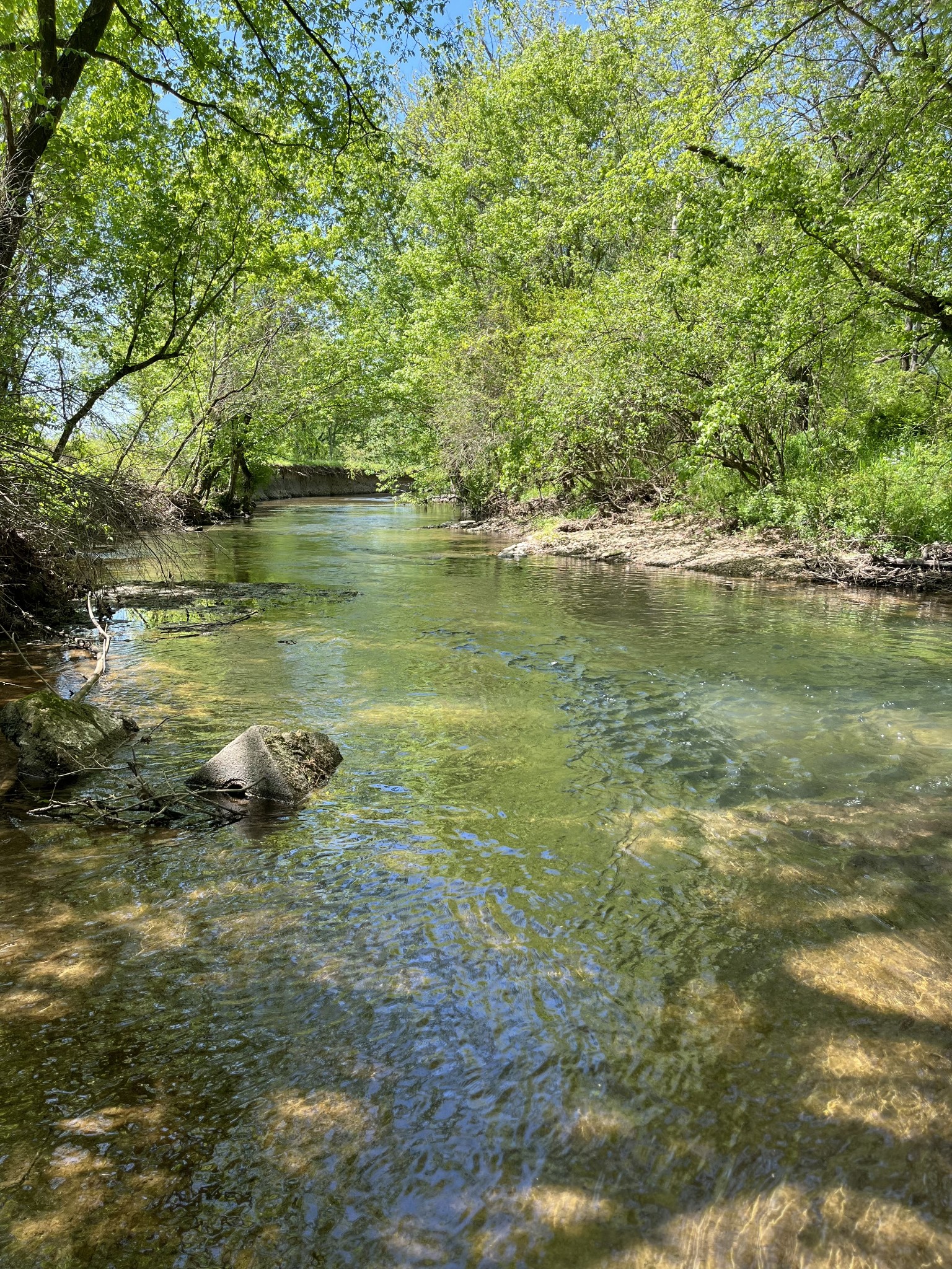 4768 Stella Road Prospect, TN 38477 - Photo 26 of 33 a view of a lake with an outdoor space