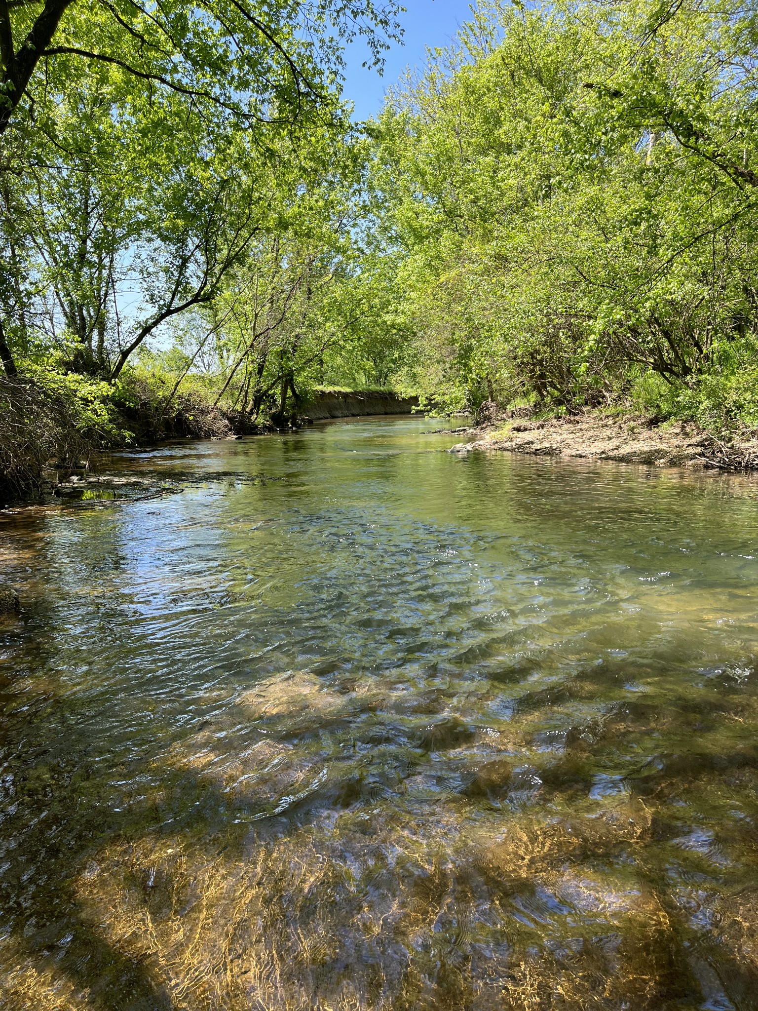 4768 Stella Road Prospect, TN 38477 - Photo 27 of 33 a view of lake view