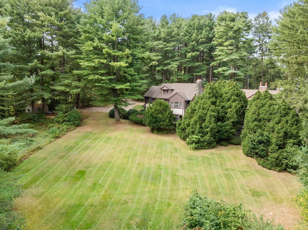 660 South Street Needham, MA 02492 - Photo 12 of 23 a view of a yard with yellow plants
