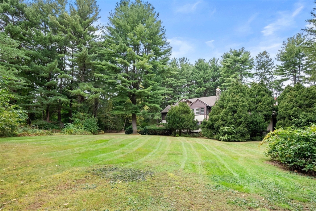 660 South Street Needham, MA 02492 - Photo 14 of 23 a view of a field with plants and large trees