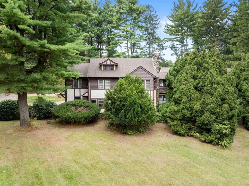 660 South Street Needham, MA 02492 - Photo 16 of 23 a view of a garden with potted plants and large trees