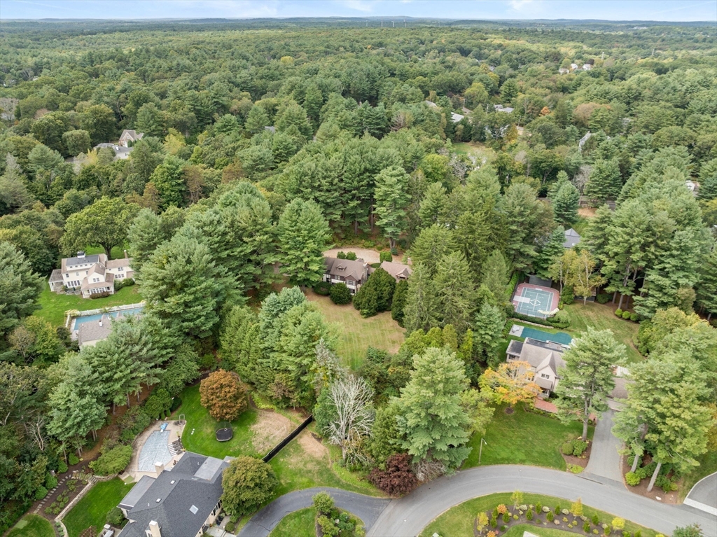 660 South Street Needham, MA 02492 - Photo 20 of 23 a view of a forest with a sink
