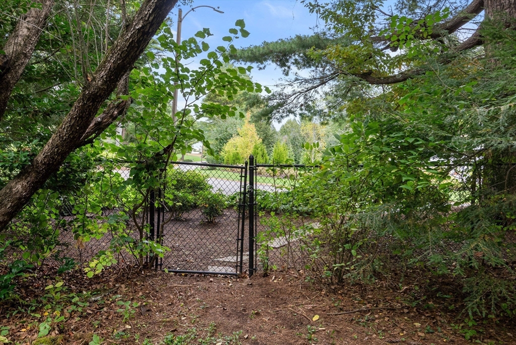 660 South Street Needham, MA 02492 - Photo 21 of 23 a backyard of a house with lots of trees
