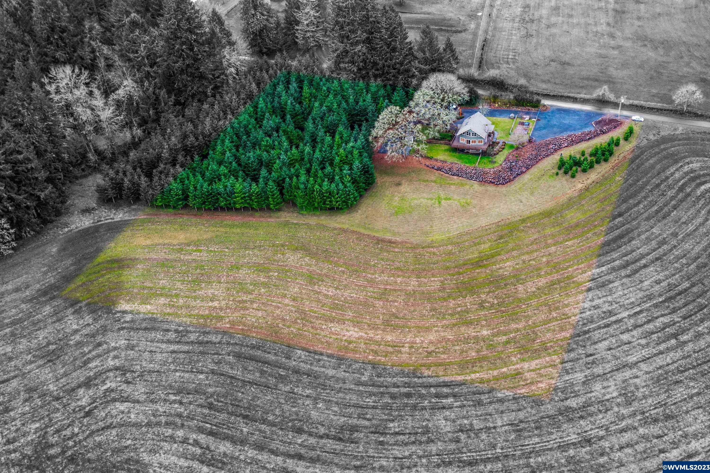 25459 Rice Road Sweet Home, OR 97386 - Photo 1 of 40 Gallery Image 1