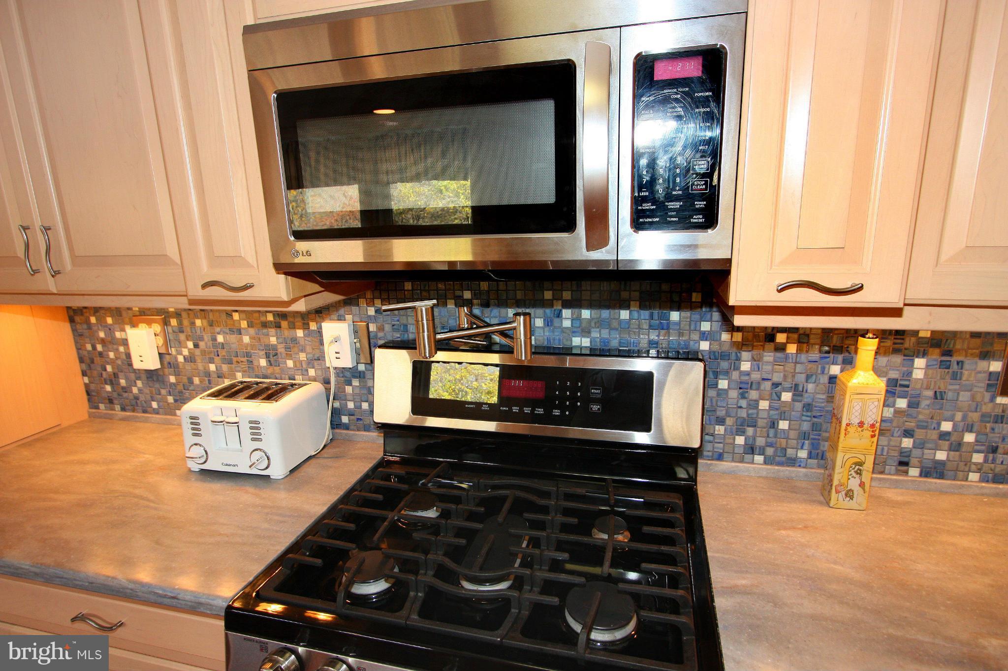 2012 Serpentine Terrace Silver Spring, MD 20904 - Photo 10 of 30 Kitchen