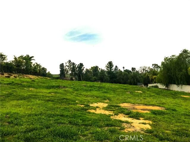 1050 Talcey Terrace Riverside, CA 92506 - Photo 4 of 8 T3