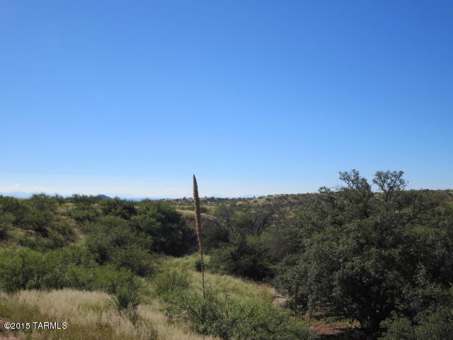 39.97-ac West Copper Bug Road, Unit 7 Elfrida, AZ 85610 - Photo 8 of 24 Gallery Image 8