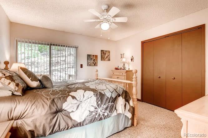 195 Silver Springs Road Bailey, CO 80421 - Photo 16 of 29 Gallery Image 16