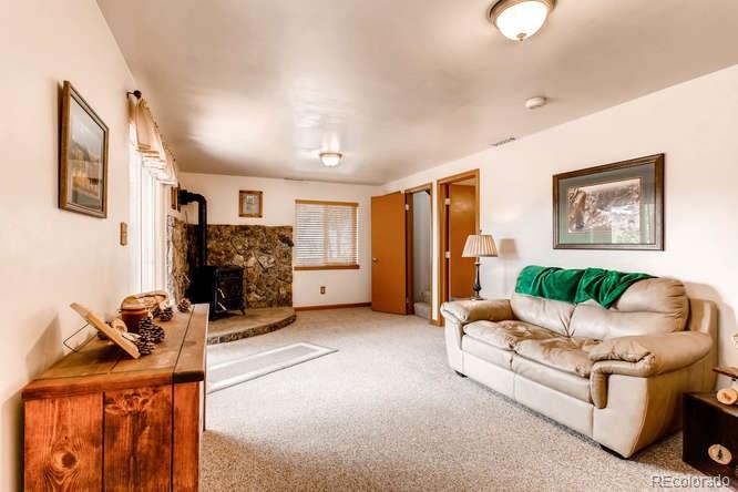 195 Silver Springs Road Bailey, CO 80421 - Photo 18 of 29 Gallery Image 18