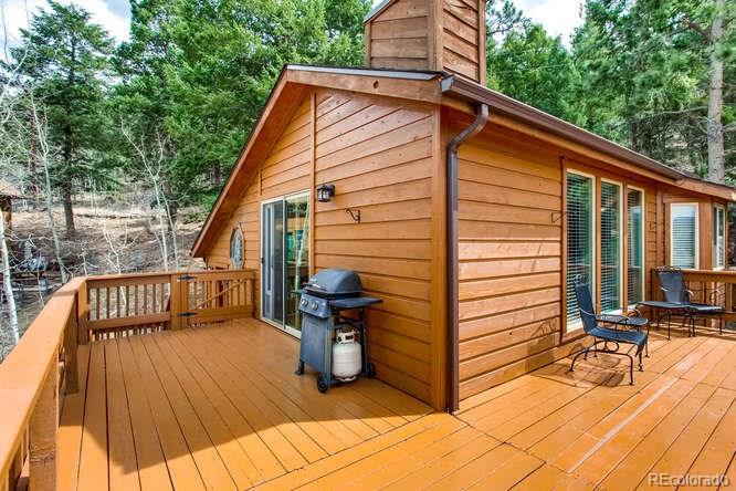 195 Silver Springs Road Bailey, CO 80421 - Photo 21 of 29 Gallery Image 21