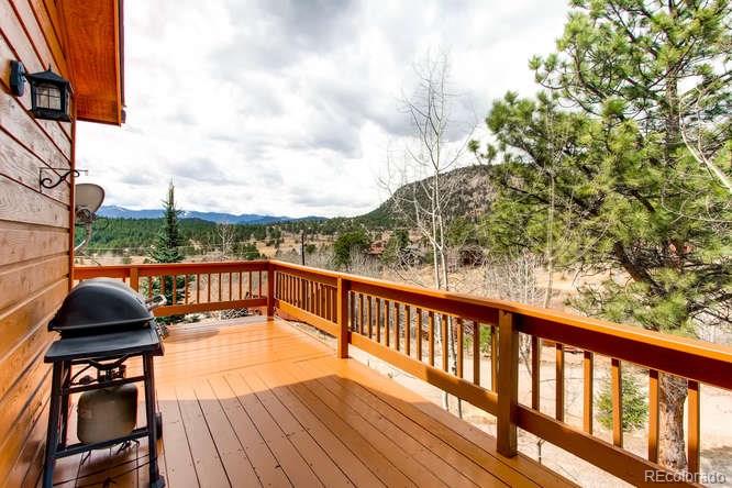 195 Silver Springs Road Bailey, CO 80421 - Photo 22 of 29 Gallery Image 22