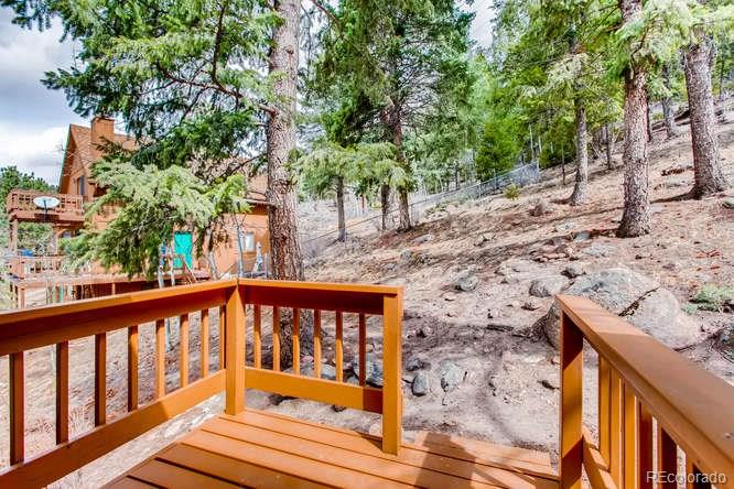 195 Silver Springs Road Bailey, CO 80421 - Photo 24 of 29 Gallery Image 24