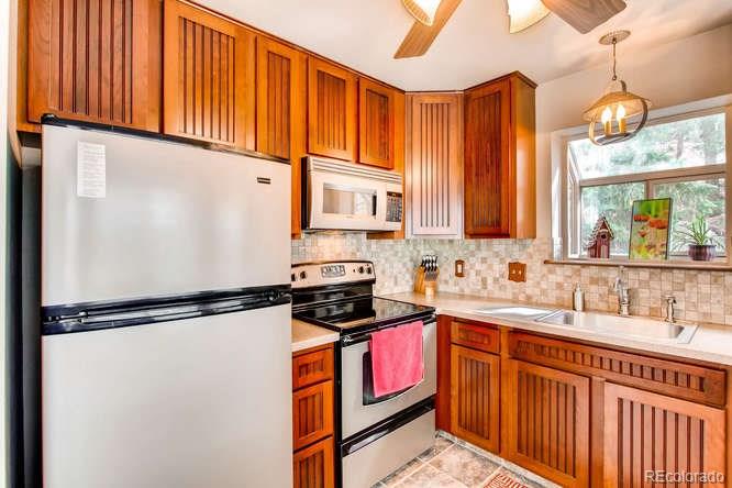 195 Silver Springs Road Bailey, CO 80421 - Photo 8 of 29 Gallery Image 8