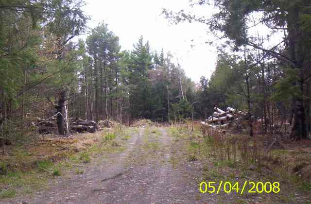 0 Caulkins Road Gilboa, NY 12076 - Photo 1 of 8 Photo 1