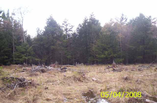 0 Caulkins Road Gilboa, NY 12076 - Photo 3 of 8 Photo 3
