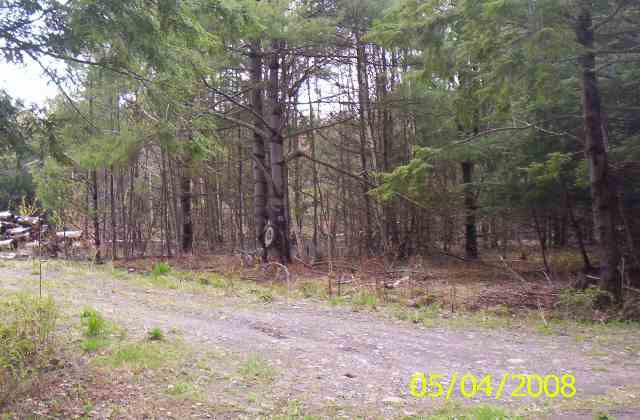 0 Caulkins Road Gilboa, NY 12076 - Photo 4 of 8 Photo 4