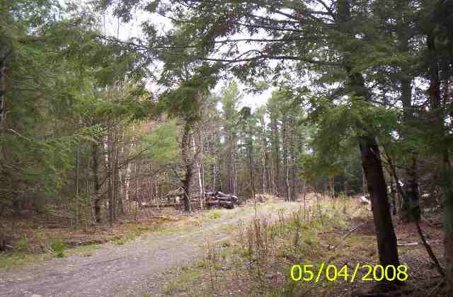 0 Caulkins Road Gilboa, NY 12076 - Photo 5 of 8 Photo 5