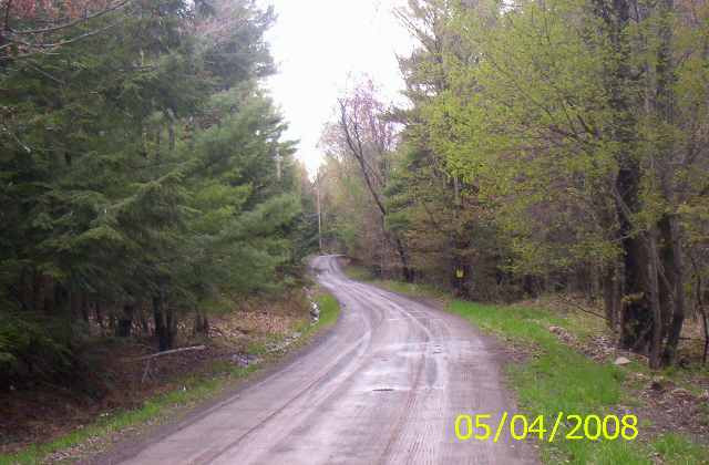 0 Caulkins Road Gilboa, NY 12076 - Photo 7 of 8 Photo 7