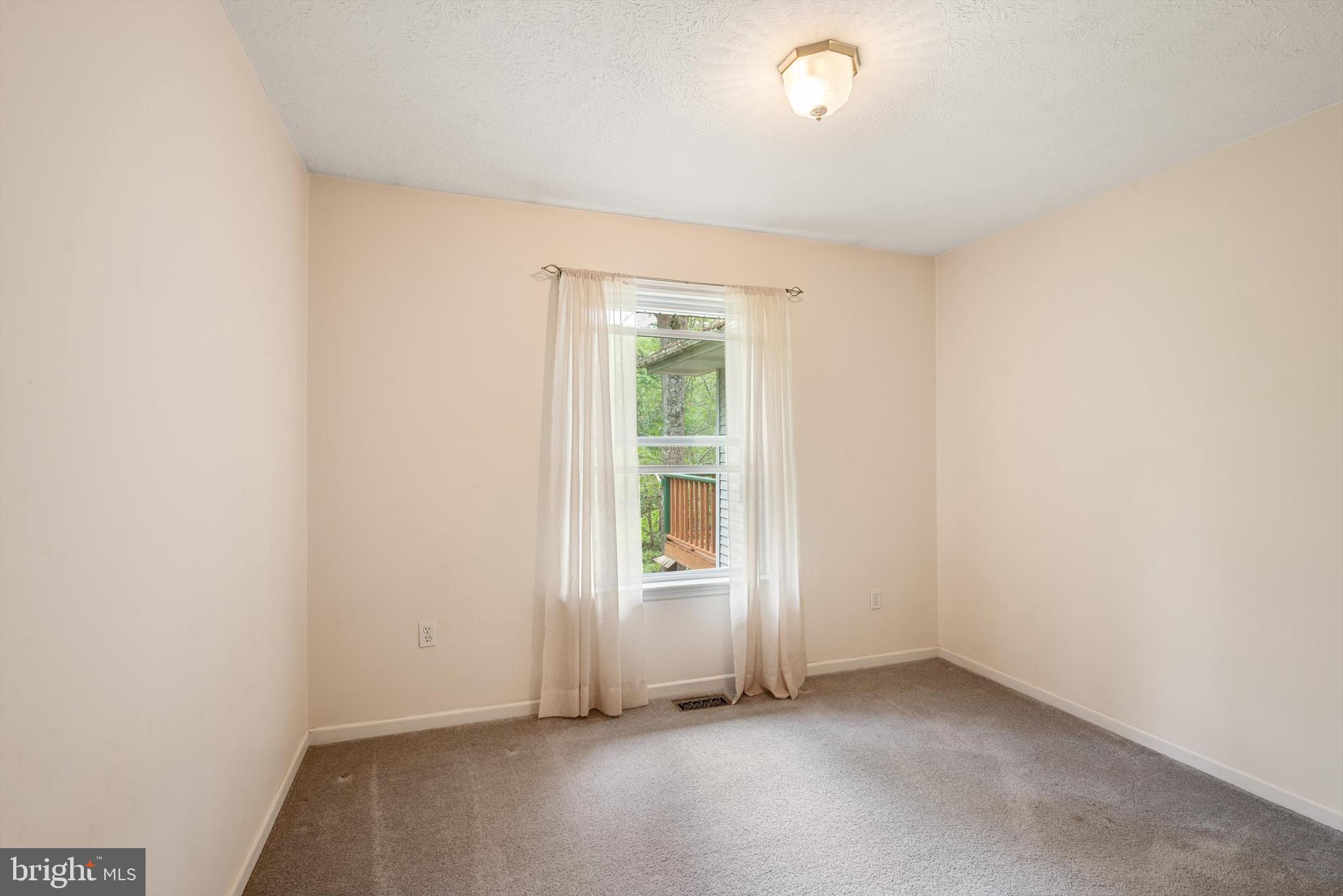 3361 Turkey Run Road Star Tannery, VA 22654 - Photo 24 of 49 Gallery Image 24