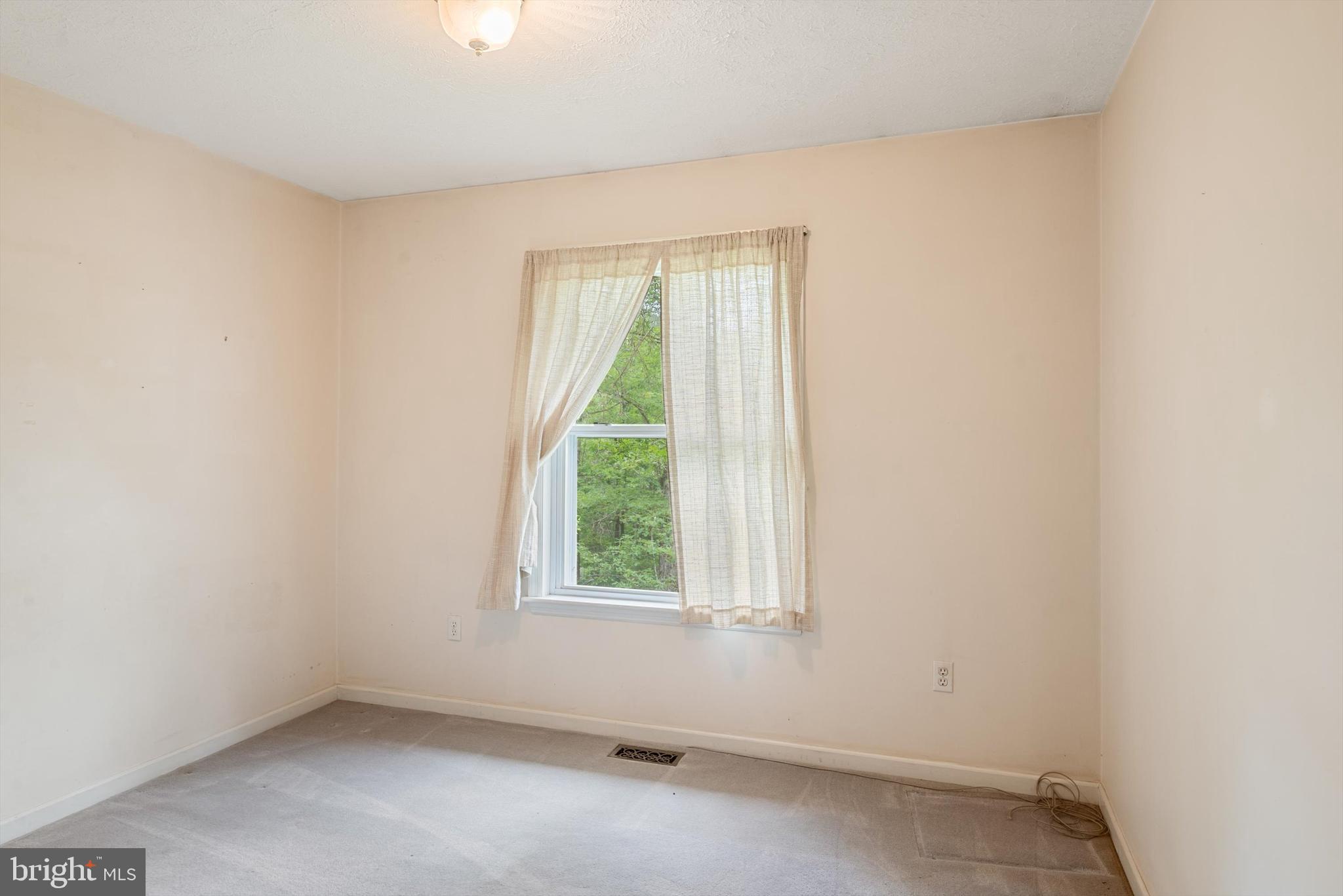 3361 Turkey Run Road Star Tannery, VA 22654 - Photo 26 of 49 Gallery Image 26