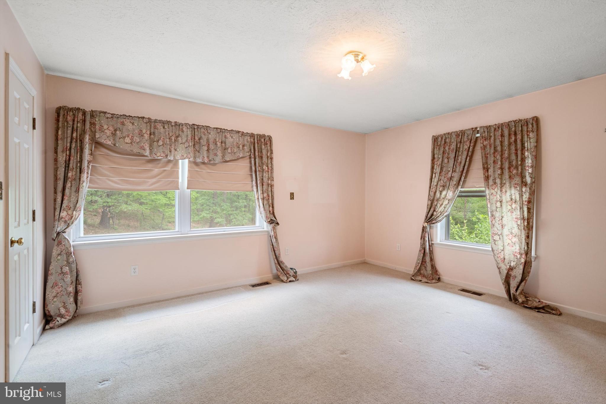 3361 Turkey Run Road Star Tannery, VA 22654 - Photo 28 of 49 Gallery Image 28