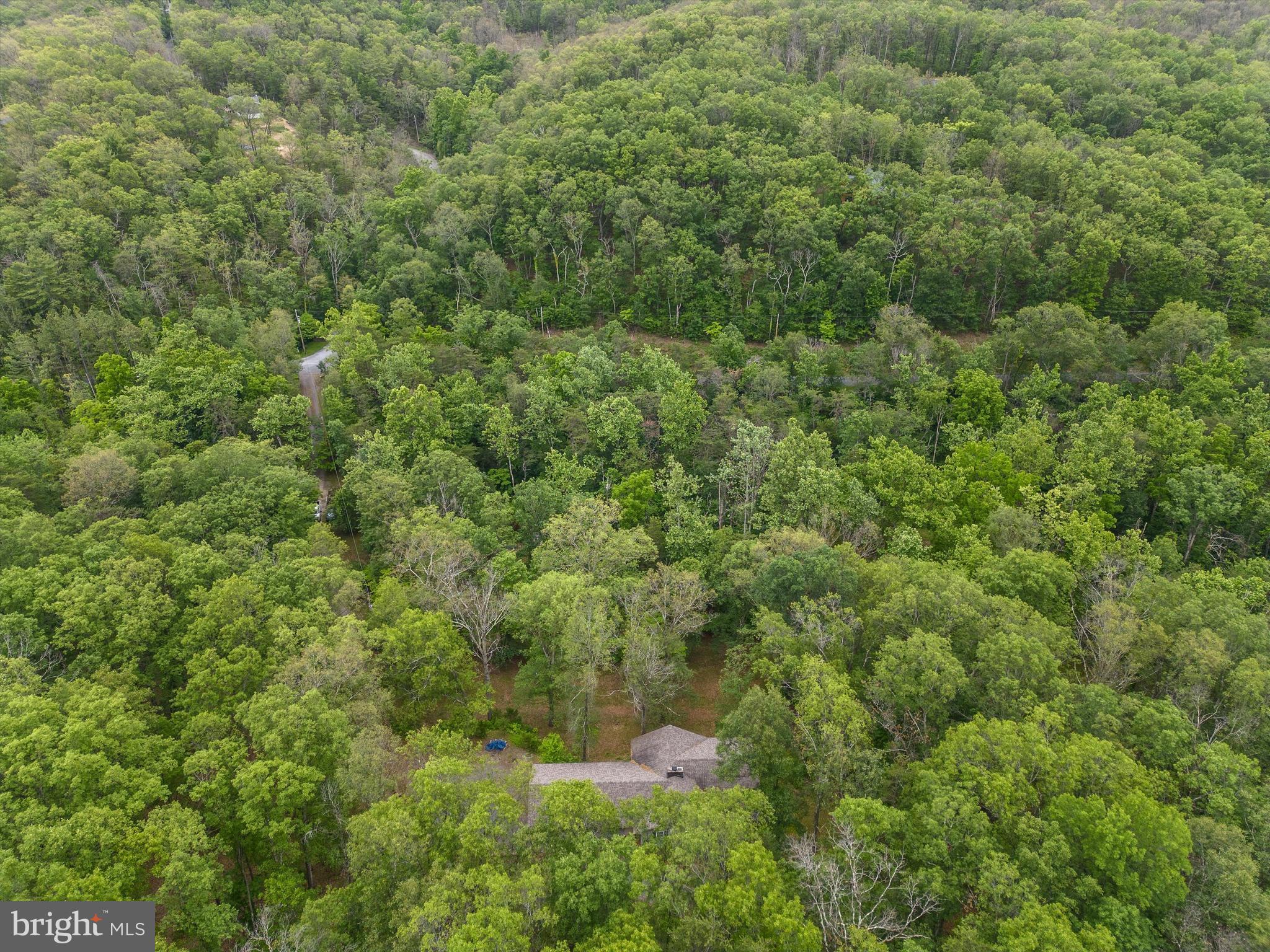 3361 Turkey Run Road Star Tannery, VA 22654 - Photo 45 of 49 Gallery Image 45