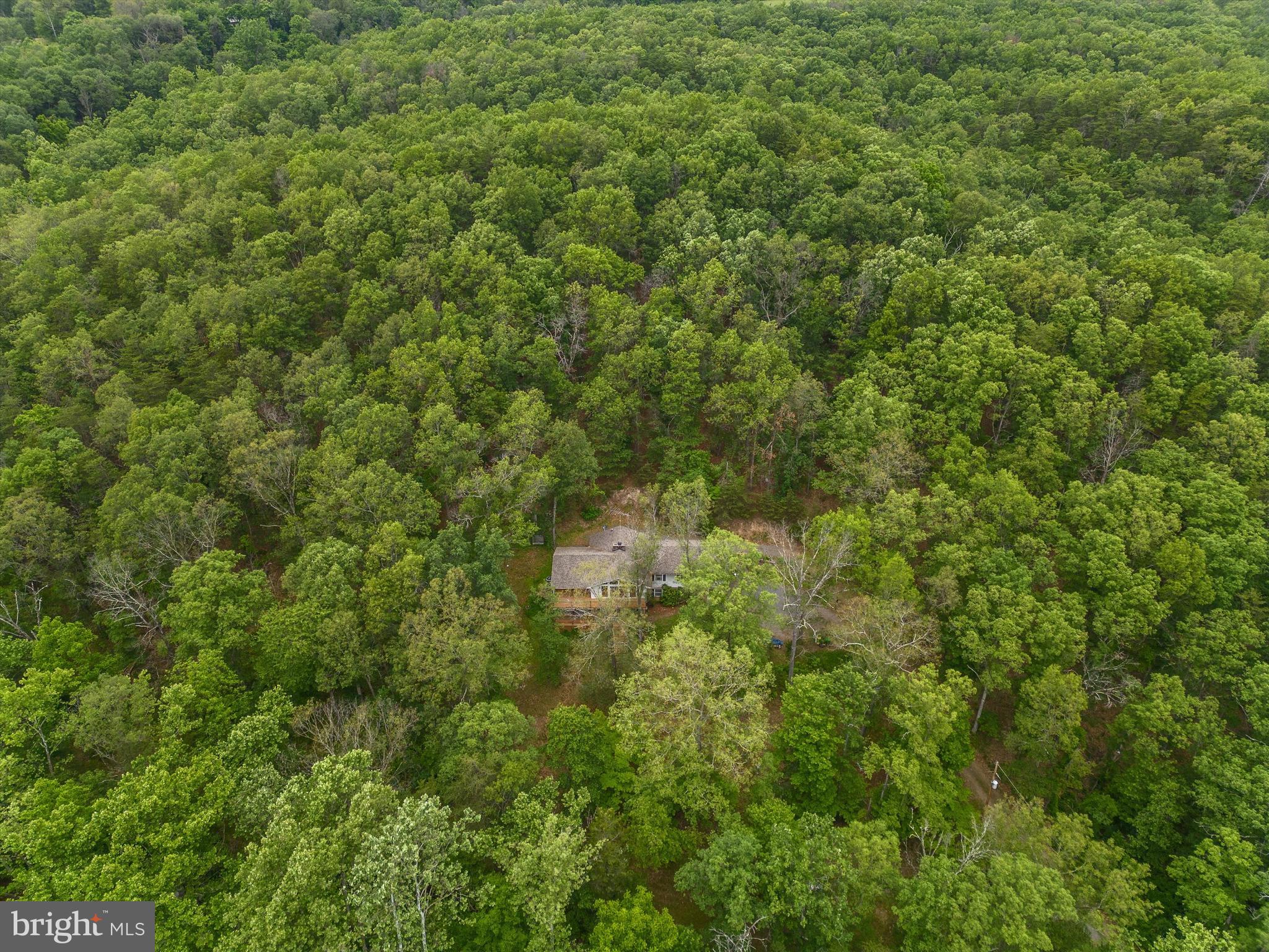 3361 Turkey Run Road Star Tannery, VA 22654 - Photo 47 of 49 Gallery Image 47