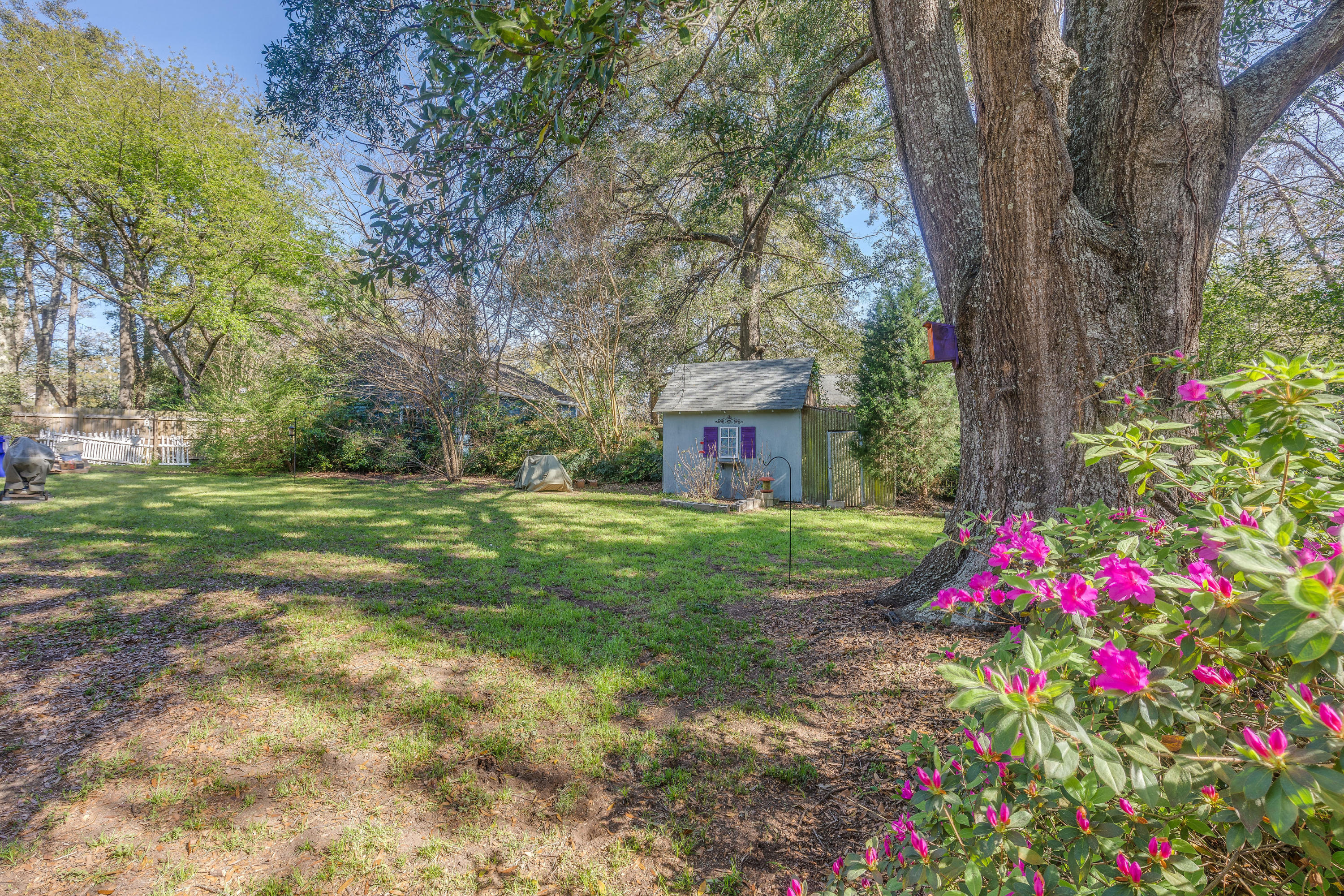1246 Julian Clark Road Charleston, SC 29412 - Photo 11 of 17 Backyard